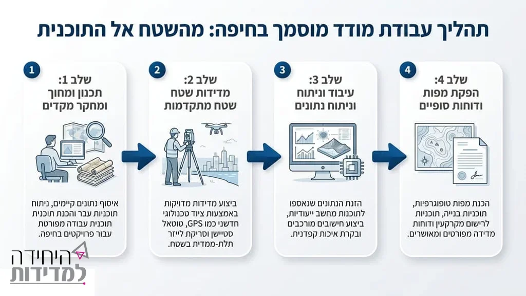 מודד מוסמך מנתח נתונים בשטח